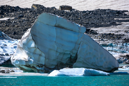格林内尔冰川湖边的大冰山图片