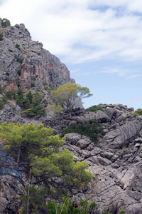 西班牙马略卡岛上美丽的著名的萨卡罗布拉湾。绿松石海，岩石。前往巴利阿里群岛。