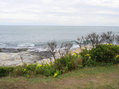 美国 海岸线 詹姆斯敦 风景 美丽的 海洋 波浪 目的地