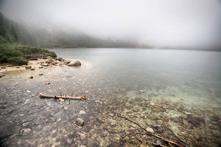 冒险 天气 风景 森林 暴风雨 眼睛 旅行 旅游业 欧洲