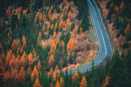 秋日跑步训练五彩缤纷。两名运动员在山里的路上奔跑