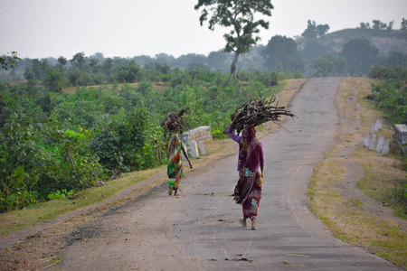 街道 亚洲 美丽的 村庄 木柴 女人 贫困 文化 印第安人