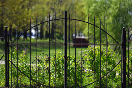 绿色植物背景下美丽的锻造大门照片