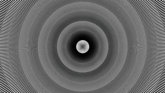 棋盘格蝴蝶图片