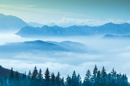 奥地利 滑雪 假日 阿尔卑斯山 森林 美丽的 季节 假期