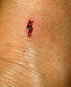 划伤的子弹关闭图片-划伤的子弹关闭素材-划伤的子弹关闭插画-摄图新