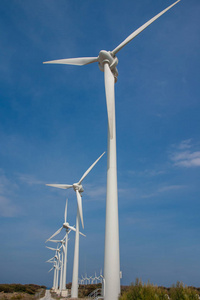 一排排风力涡轮机，产生可替代的电能