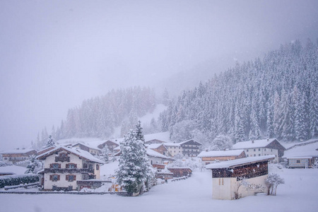 在奥地利斯图拜山谷的纽斯蒂夫特镇的冬季景观。在大雪和冷杉林中的提洛尔住宅