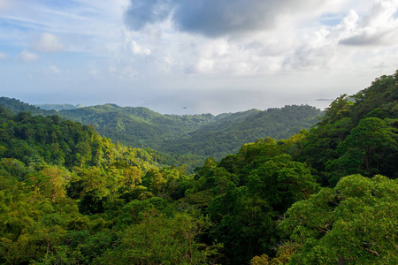 热带岛屿森林的美丽全景。巨大的山丘