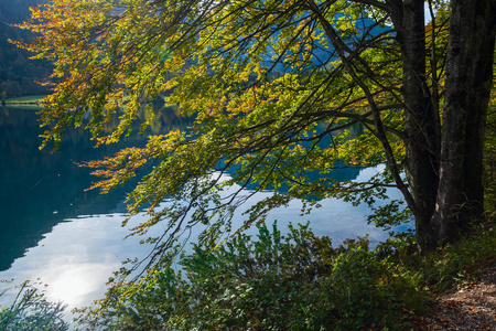 Peaceful autumn Alps mountain lake with clear transparent water 