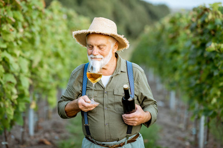 高级酿酒师在葡萄园里酿酒图片