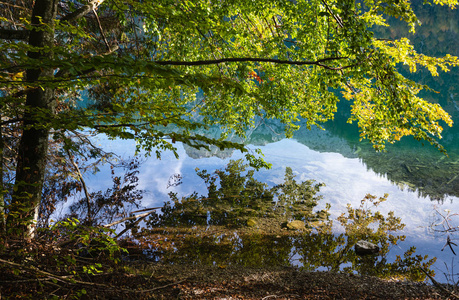 Peaceful autumn Alps mountain lake with clear transparent water 