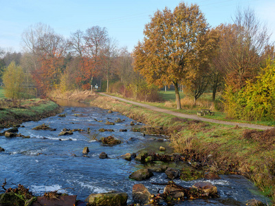 森林 树叶 德国 旅行 秋天 十月 自然 徒步旅行