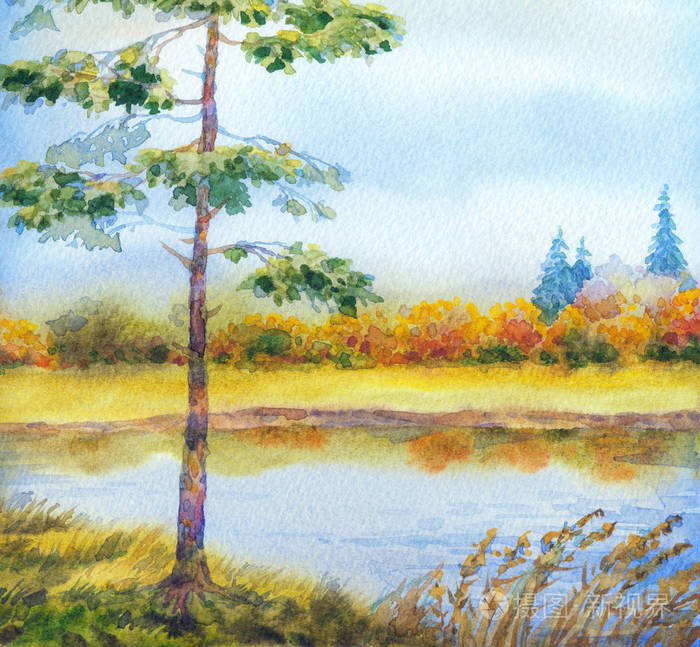 森林風景 水彩画 水彩风景画。森林里的小溪照片-正版商用图片26c9nj-摄图新视界