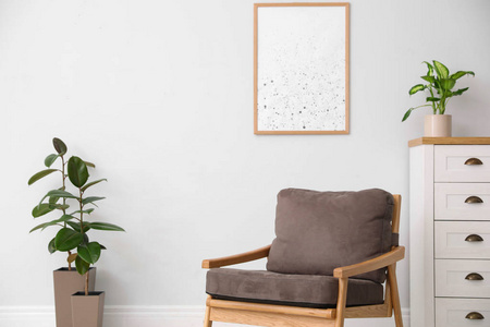 家具 成长 榕树 自然 植物学 在室内 公寓 房子 树叶