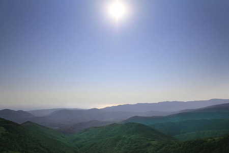 森林 旅游业 环境 太阳 日出 薄雾 美丽的 春天 风景