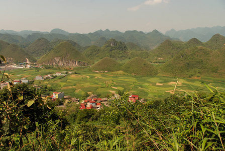 国家 土地 大米 越南 亚洲 丘陵 农场 村庄 风景 农田