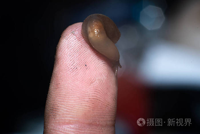 脏手指上的一点粘液特写