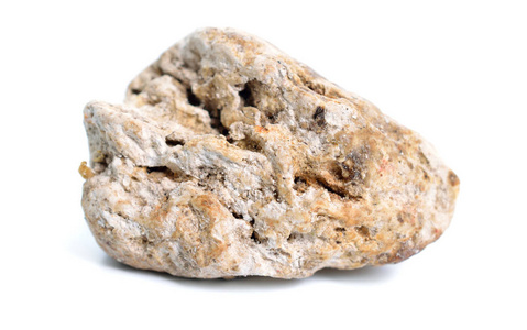 龙涎香,龙涎香,龙涎草或灰琥珀.白底隔离照片