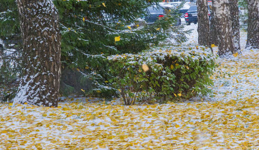 我们在晚上下了本季的第一场雪，撒上了灰尘