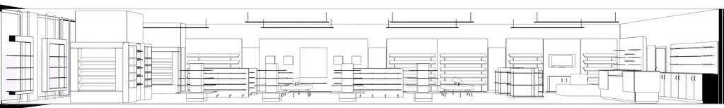 家具 衣服 建筑学 豪华 薄纱 地板 插图 公寓 可视化