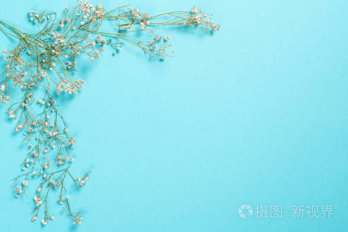 花卉构成淡蓝色背景上的满天星花平面布置俯视图复制空间