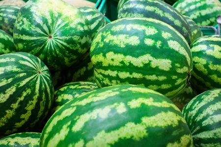 市场长凳或柜台上一堆漂亮可口的绿色西瓜的特写镜头。农业背景概念。熟果销售