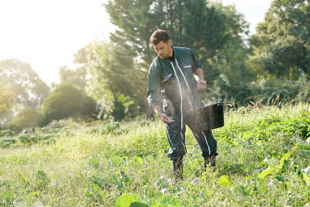 男人 自然 农业 年龄 装备 职业 种子 工作 农事 种植园