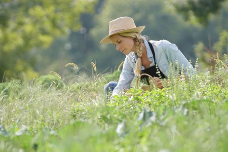 成人 姿势 女人 跪下 农业 领域 美丽的 自然 女士 微笑