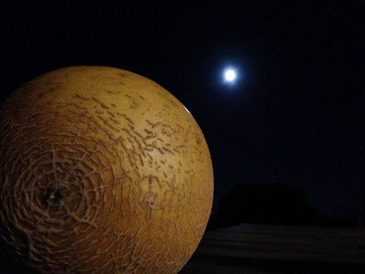 月亮 哈密瓜