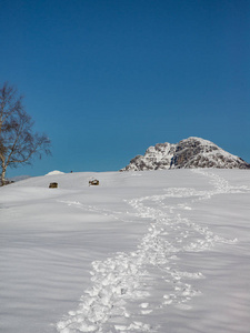 春雪景观图片