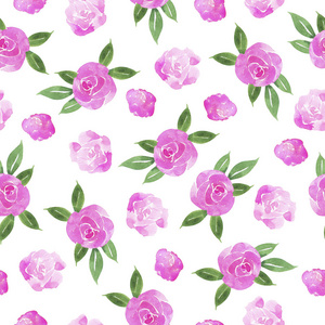 植物区系 包装 开花 植物学 玫瑰 花瓣 自然 花的 粉红色