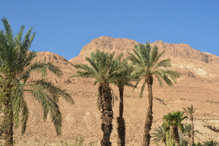 Judean desert in the east of Israel. 