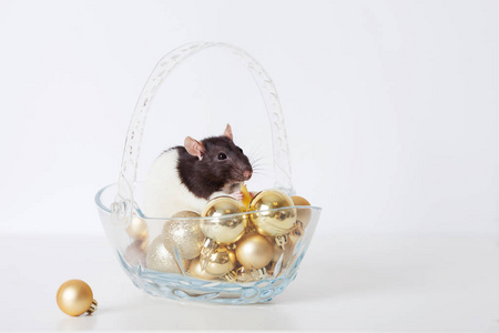 可爱的家鼠和金色的圣诞球。新的象征