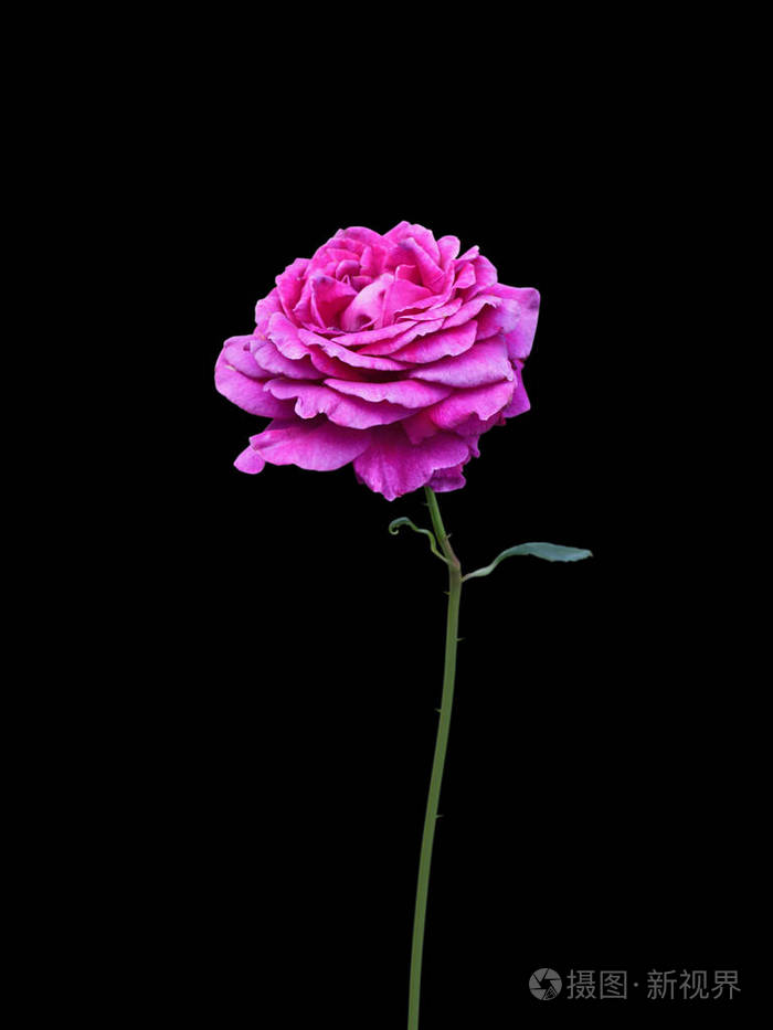 700_933竖版 竖屏