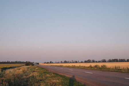清晨田野附近空旷的道路图片