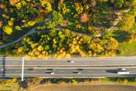 秋林与秋日黄树耕地之间的公路。高速公路交通鸟瞰图