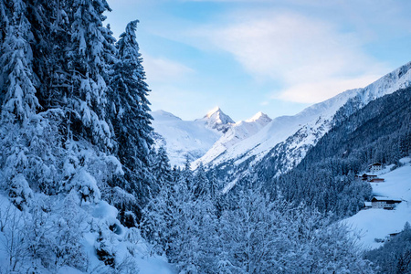 美丽的冬季景观与雪覆盖的树木和山在斯图拜山谷，蒂罗尔，奥地利