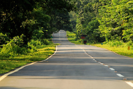 在阴天穿过森林的弯弯曲曲的道路，阿萨姆邦