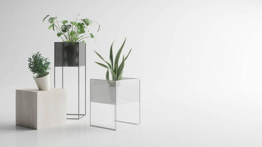 收集 广告 家具 公寓 技术 植物 插图 简单的 三维渲染