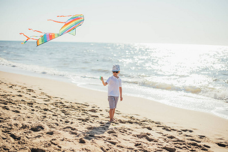 小孩 可爱的 早产 少年时代 海滩 白种人 夏季 闲暇 夏天