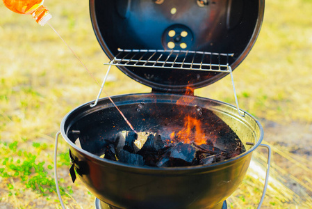 花园 烤架 营地 草坪 烹调 烧烤 火焰 夏天 食物 金属