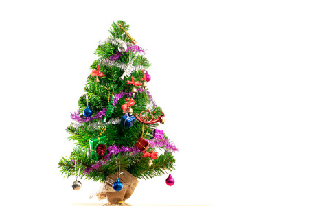 绿色圣诞树装饰着礼物和白色的背景
