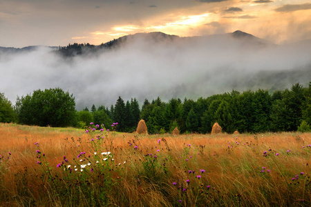 日出山泉景