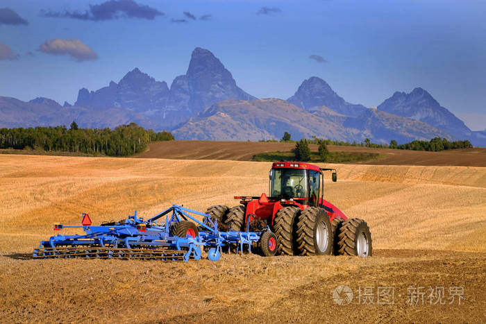 秋秋时节拖拉机农耕地收割庄稼