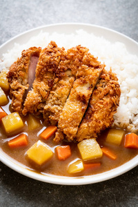 Crispy fried pork cutlet with curry and rice 