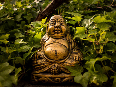 文明 自然 冥想 旅行 遗产 古董 目的地 雕刻 佛教徒