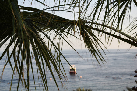 海洋 假日 太阳 加勒比 夏威夷 海景 风景 天堂 海滩