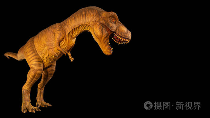 黑色隔离背景.侏罗纪时期的恐龙.嵌入的剪切路径.