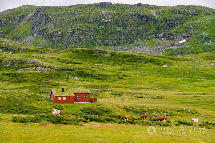 挪威山口的木屋山小屋挪威风景典型的斯堪的纳维亚草屋山谷里有小房子